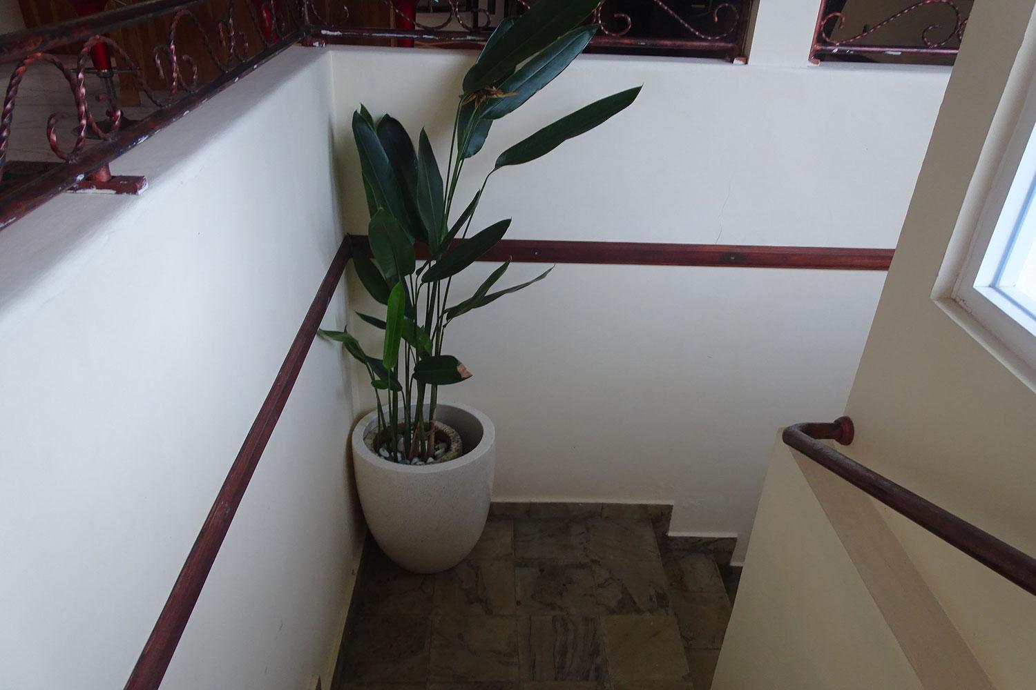 Villa Ebel Lovina Kültér fotó